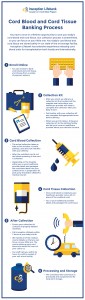 Cord Blood and Cord Tissue Banking Process