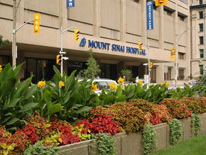 $35 Million Donation Will Fund Maternal And Infant Health Research
