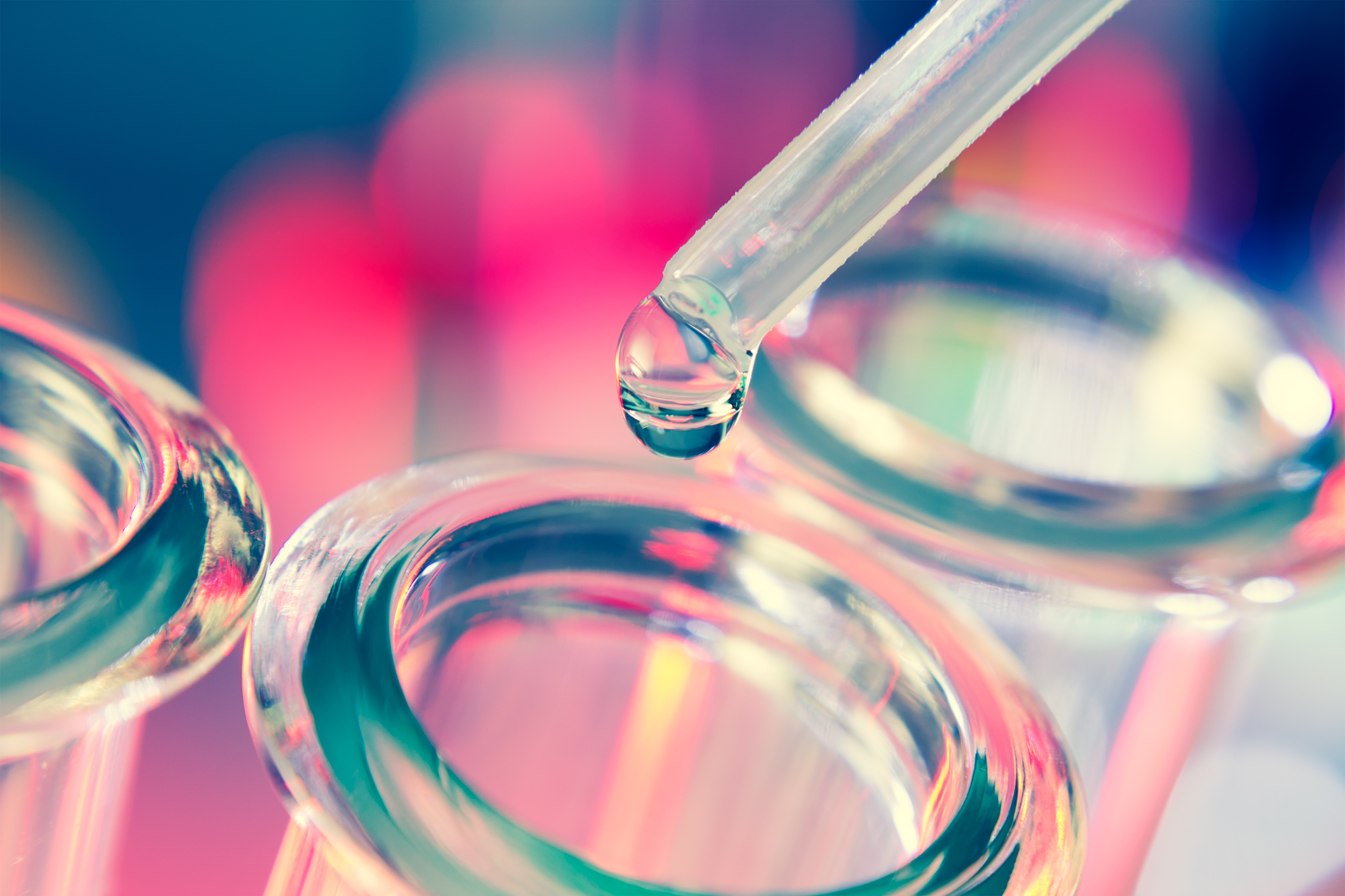 Cord Blood and Autism: What does the future hold?