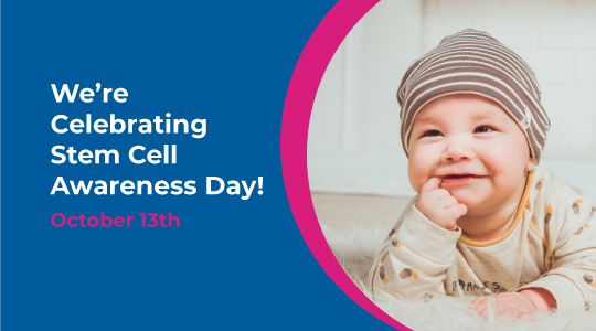 Two Cells, Unlimited Potential: A look at HSCs and MSCs
