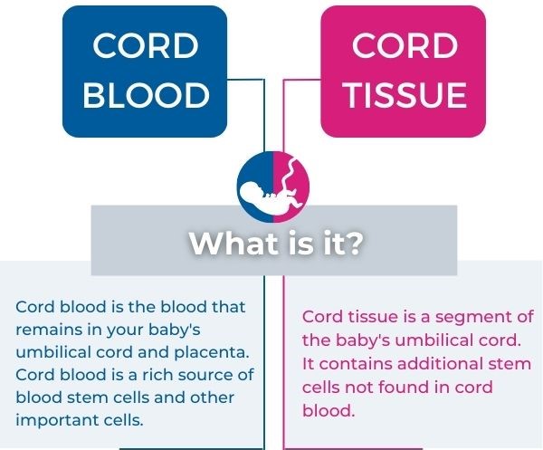what is cord blood and cord tissue