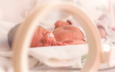 Exploring the potential of cord blood in supporting preterm babies