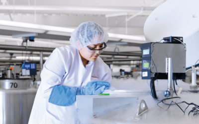 Insception Lifebank and the history of newborn stem cells