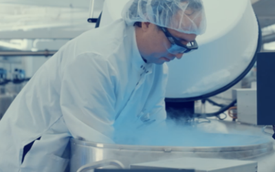 What’s the process of a cord blood sample release?